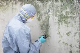 Mold Documentation for Insurance Claims in Milan, TN